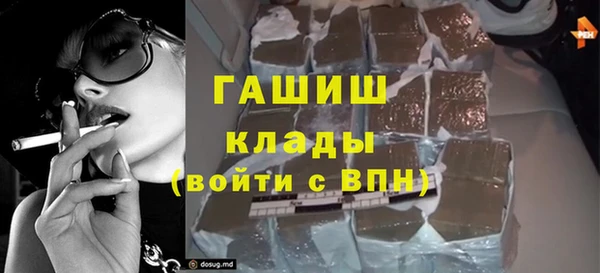 крисы Алзамай